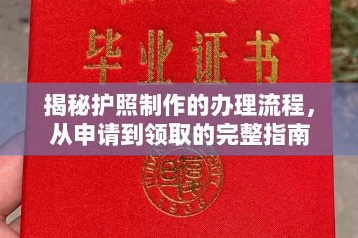 九江揭秘护照制作的办理流程，从申请到领取的完整指南