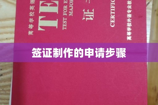 九江签证制作的申请步骤